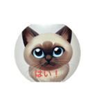 猫ちゃんの応援（個別スタンプ：6）