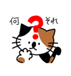 猫のコバヤシのスタンプ（個別スタンプ：10）