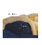 黒猫のくじら 2（個別スタンプ：22）