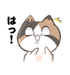 うに猫ちゃんのはなちゃん（個別スタンプ：11）