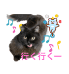 黒猫 ルナ院長82にゃんめ（個別スタンプ：3）