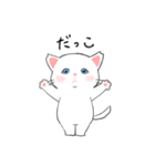 ほごねこしろちゃん（個別スタンプ：1）