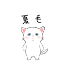 ほごねこしろちゃん（個別スタンプ：38）