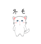 ほごねこしろちゃん（個別スタンプ：39）