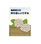 大人の夏のご挨拶【BIGサイズ】（個別スタンプ：19）