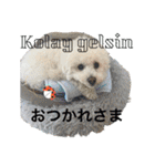 Turkish Japanese family スタンプ（個別スタンプ：10）