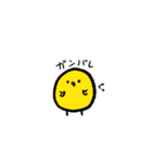 まる〜いトリたち（個別スタンプ：17）