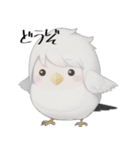 AI インコ_V2（個別スタンプ：1）