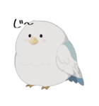 AI インコ_V2（個別スタンプ：4）