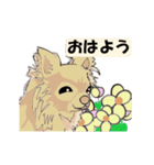 あいさつワンコたち。動くよ。修正版。（個別スタンプ：2）