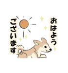 あいさつワンコたち。動くよ。修正版。（個別スタンプ：3）