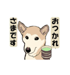 あいさつワンコたち。動くよ。修正版。（個別スタンプ：16）