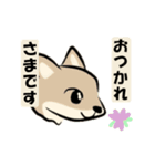 あいさつワンコたち。動くよ。修正版。（個別スタンプ：19）