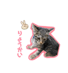 こぽと（個別スタンプ：8）