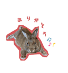 こぽと（個別スタンプ：9）