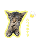 こぽと（個別スタンプ：11）