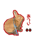 こぽと（個別スタンプ：18）