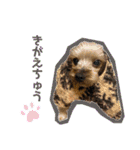 こぽと（個別スタンプ：19）