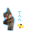 こぽと（個別スタンプ：20）
