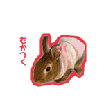 こぽと（個別スタンプ：33）