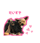 こぽと（個別スタンプ：38）