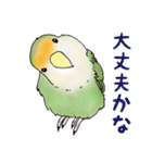 コザクラインコ ピノとその仲間たち2（個別スタンプ：12）