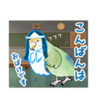 コザクラインコ ピノとその仲間たち2（個別スタンプ：16）