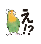 コザクラインコ ピノとその仲間たち2（個別スタンプ：20）