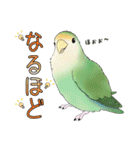 コザクラインコ ピノとその仲間たち2（個別スタンプ：22）