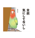 コザクラインコ ピノとその仲間たち2（個別スタンプ：24）