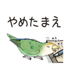 コザクラインコ ピノとその仲間たち2（個別スタンプ：31）