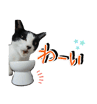 ツキちゃんスタンプ 2-3才（個別スタンプ：10）