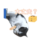 ツキちゃんスタンプ 2-3才（個別スタンプ：30）
