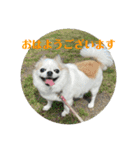 ベル千景Part3（個別スタンプ：3）