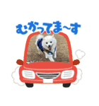 ベル千景Part3（個別スタンプ：15）