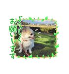ベル千景Part3（個別スタンプ：16）