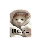 ちんちくちくわ（個別スタンプ：13）