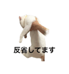 ちんちくちくわ（個別スタンプ：21）