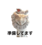 ちんちくちくわ（個別スタンプ：22）