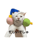 ちんちくちくわ（個別スタンプ：25）