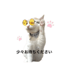ちんちくちくわ（個別スタンプ：26）