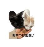 ちんちくちくわ（個別スタンプ：30）