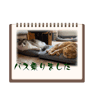 まいにちねこのひ。その2（個別スタンプ：6）