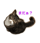 ふじもじにゃんず実写版2023（個別スタンプ：2）