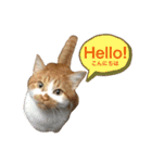 ふじもじにゃんず実写版2023（個別スタンプ：16）