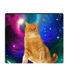 宇宙の中の猫（個別スタンプ：1）