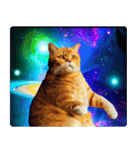 宇宙の中の猫（個別スタンプ：3）