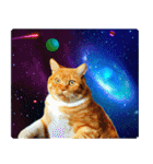宇宙の中の猫（個別スタンプ：5）