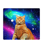宇宙の中の猫（個別スタンプ：6）