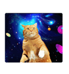 宇宙の中の猫（個別スタンプ：11）